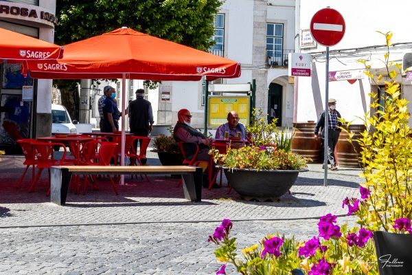 Redondo - www.iberianlifestyle.com